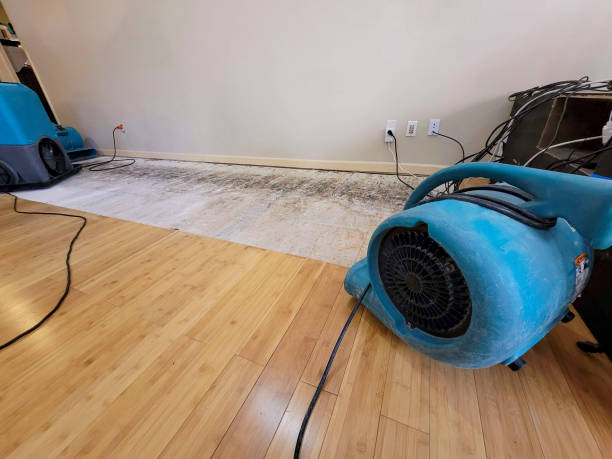 Professional Water Damage Repair technician working in Hazlehurst, MS